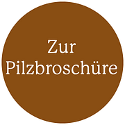 Pilzbroschuere