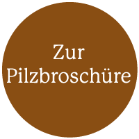 Pilzbroschuere